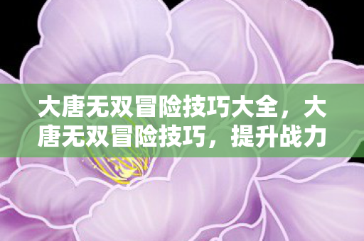 大唐无双冒险技巧大全,大唐无双冒险技巧,提升战力与探索秘境的实用指南 大唐无双冒险技巧大全,大唐无双冒险技巧,提升战力与探索秘境的实用指南