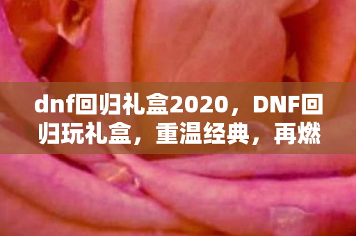 dnf回归礼盒2020,DNF回归玩礼盒,重温经典,再燃激情 dnf回归礼盒2020,DNF回归玩礼盒,重温经典,再燃激情