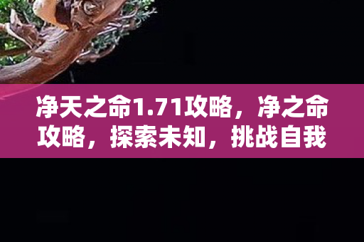 净天之命1.71攻略，净之命攻略，探索未知，挑战自我