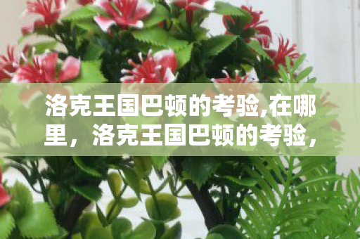 洛克王国巴顿的考验,在哪里,洛克王国巴顿的考验,一场智慧与勇气的冒险 洛克王国巴顿的考验,在哪里,洛克王国巴顿的考验,一场智慧与勇气的冒险