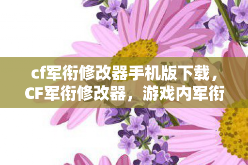 cf军衔修改器手机版下载,CF军衔修改器,游戏内军衔提升的秘密武器? cf军衔修改器手机版下载,CF军衔修改器,游戏内军衔提升的秘密武器?