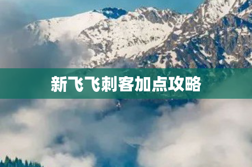 新飞飞刺客加点攻略 新飞飞刺客加点攻略
