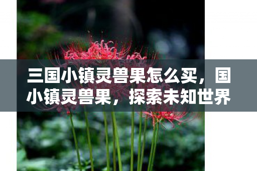 三国小镇灵兽果怎么买，国小镇灵兽果，探索未知世界的奇幻之旅