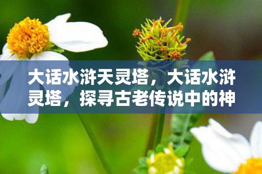 大话水浒天灵塔,大话水浒灵塔,探寻古老传说中的神秘之地 大话水浒天灵塔,大话水浒灵塔,探寻古老传说中的神秘之地