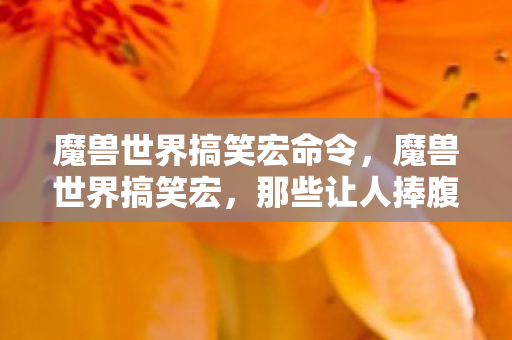魔兽世界搞笑宏命令，魔兽世界搞笑宏，那些让人捧腹的小助手