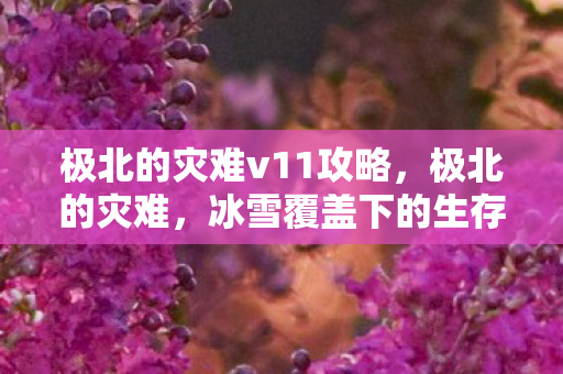 极北的灾难v11攻略,极北的灾难,冰雪覆盖下的生存挑战 极北的灾难v11攻略,极北的灾难,冰雪覆盖下的生存挑战