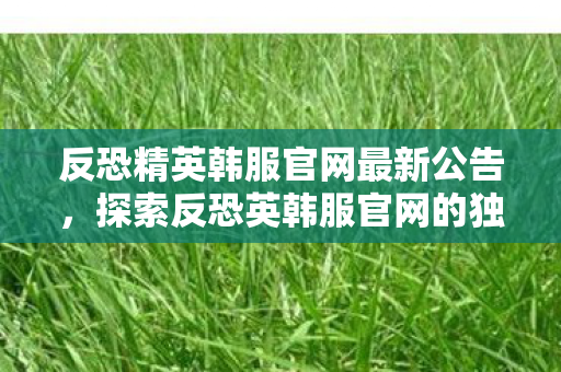 反恐精英韩服官网最新公告,探索反恐英韩服官网的独特魅力 反恐精英韩服官网最新公告,探索反恐英韩服官网的独特魅力