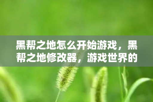 黑帮之地怎么开始游戏,黑帮之地修改器,游戏世界的秘密武器 黑帮之地怎么开始游戏,黑帮之地修改器,游戏世界的秘密武器