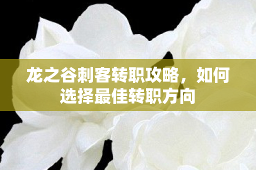 龙之谷刺客转职攻略，如何选择最佳转职方向