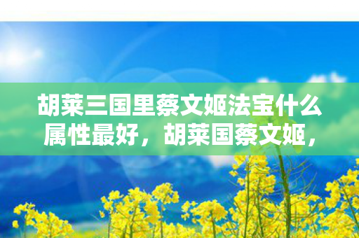 胡莱三国里蔡文姬法宝什么属性最好,胡莱国蔡文姬,探寻历史背后的才女传奇 胡莱三国里蔡文姬法宝什么属性最好,胡莱国蔡文姬,探寻历史背后的才女传奇