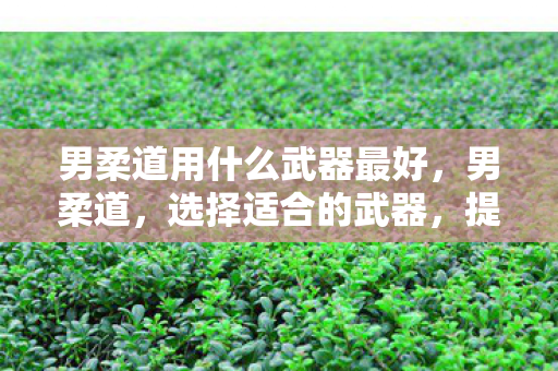 男柔道用什么武器最好,男柔道,选择适合的武器,提升战斗效率 男柔道用什么武器最好,男柔道,选择适合的武器,提升战斗效率