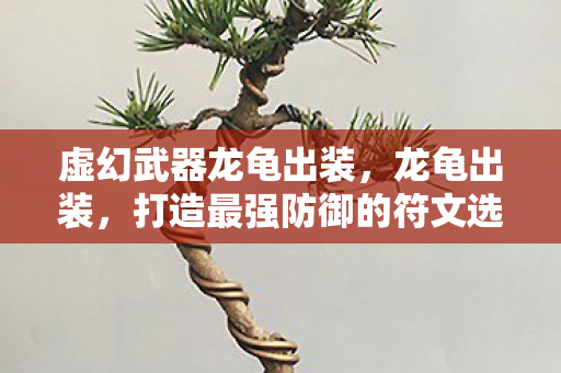 虚幻武器龙龟出装,龙龟出装,打造最强防御的符文选择 虚幻武器龙龟出装,龙龟出装,打造最强防御的符文选择