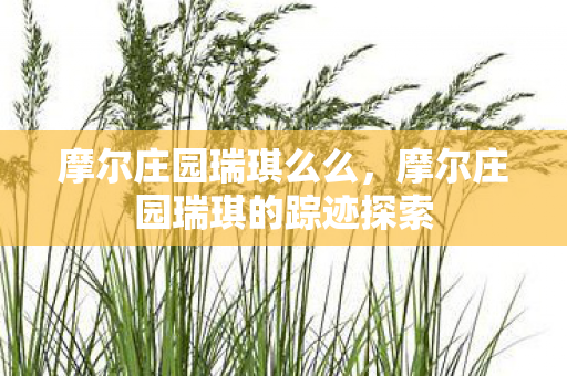 摩尔庄园瑞琪么么,摩尔庄园瑞琪的踪迹探索 摩尔庄园瑞琪么么,摩尔庄园瑞琪的踪迹探索