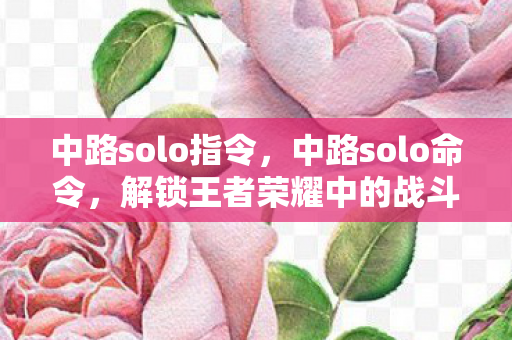 中路solo指令,中路solo命令,解锁王者荣耀中的战斗艺术 中路solo指令,中路solo命令,解锁王者荣耀中的战斗艺术