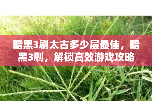 暗黑3刷太古多少层最佳,暗黑3刷,解锁高效游戏攻略,提升你的游戏体验 暗黑3刷太古多少层最佳,暗黑3刷,解锁高效游戏攻略,提升你的游戏体验