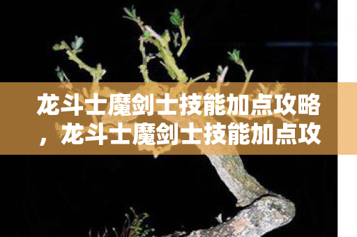 龙斗士魔剑士技能加点攻略,龙斗士魔剑士技能加点攻略 龙斗士魔剑士技能加点攻略,龙斗士魔剑士技能加点攻略