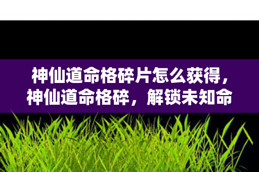 神仙道命格碎片怎么获得,神仙道命格碎,解锁未知命运的神秘碎片 神仙道命格碎片怎么获得,神仙道命格碎,解锁未知命运的神秘碎片