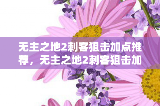 无主之地2刺客狙击加点推荐,无主之地2刺客狙击加点策略 无主之地2刺客狙击加点推荐,无主之地2刺客狙击加点策略