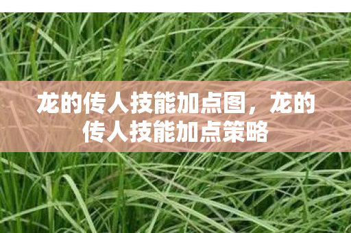 龙的传人技能加点图,龙的传人技能加点策略 龙的传人技能加点图,龙的传人技能加点策略