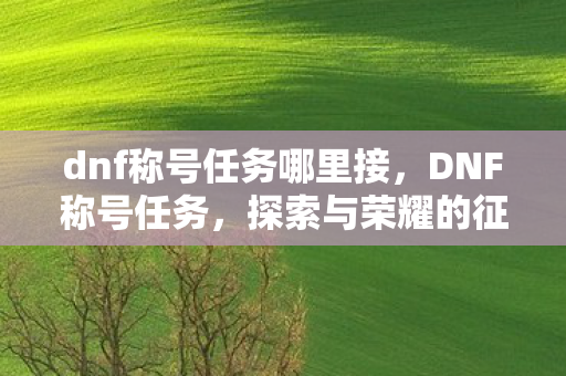 dnf称号任务哪里接,DNF称号任务,探索与荣耀的征途 dnf称号任务哪里接,DNF称号任务,探索与荣耀的征途