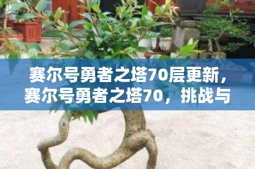 赛尔号勇者之塔70层更新,赛尔号勇者之塔70,挑战与成长的试炼场 赛尔号勇者之塔70层更新,赛尔号勇者之塔70,挑战与成长的试炼场