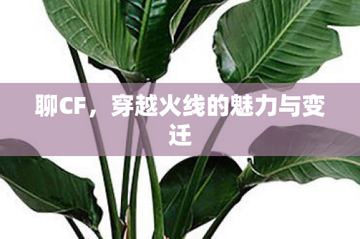 聊CF,穿越火线的魅力与变迁 聊CF,穿越火线的魅力与变迁