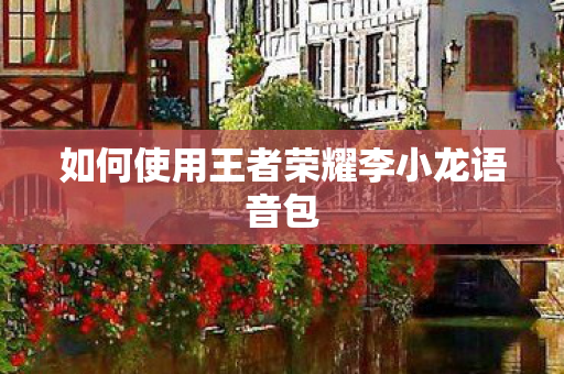 如何使用王者荣耀李小龙语音包 如何使用王者荣耀李小龙语音包
