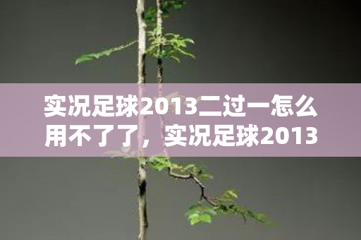 实况足球2013二过一怎么用不了了,实况足球2013二过一战术解析 实况足球2013二过一怎么用不了了,实况足球2013二过一战术解析