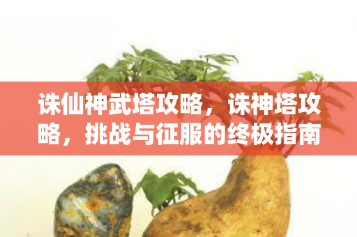 诛仙神武塔攻略,诛神塔攻略,挑战与征服的终极指南 诛仙神武塔攻略,诛神塔攻略,挑战与征服的终极指南