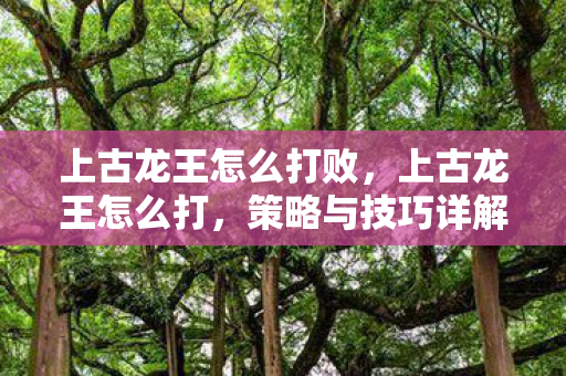 上古龙王怎么打败,上古龙王怎么打,策略与技巧详解 上古龙王怎么打败,上古龙王怎么打,策略与技巧详解