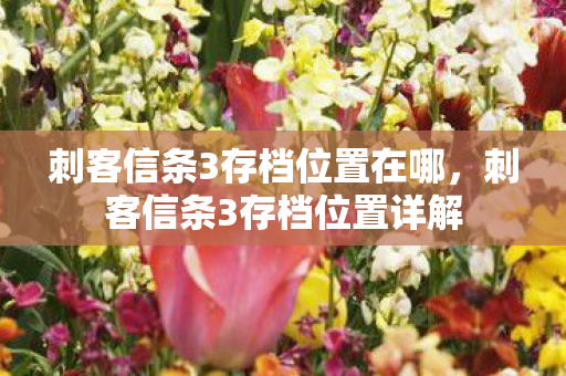 刺客信条3存档位置在哪,刺客信条3存档位置详解 刺客信条3存档位置在哪,刺客信条3存档位置详解