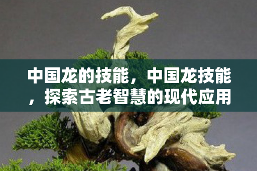 中国龙的技能,中国龙技能,探索古老智慧的现代应用 中国龙的技能,中国龙技能,探索古老智慧的现代应用