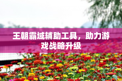 王朝霸域辅助工具,助力游戏战略升级 王朝霸域辅助工具,助力游戏战略升级