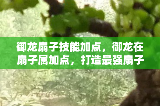 御龙扇子技能加点，御龙在扇子属加点，打造最强扇子的策略指南