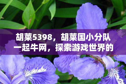 胡莱5398,胡莱国小分队一起牛网,探索游戏世界的奇妙之旅 胡莱5398,胡莱国小分队一起牛网,探索游戏世界的奇妙之旅