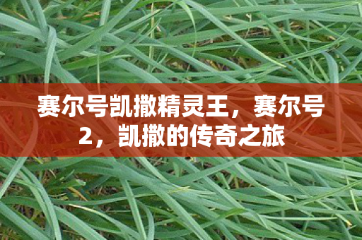 赛尔号凯撒精灵王,赛尔号2,凯撒的传奇之旅 赛尔号凯撒精灵王,赛尔号2,凯撒的传奇之旅