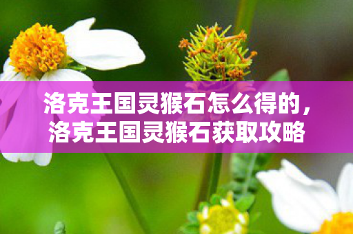 洛克王国灵猴石怎么得的，洛克王国灵猴石获取攻略