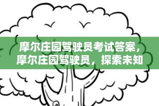 摩尔庄园驾驶员考试答案,摩尔庄园驾驶员,探索未知世界的奇妙之旅 摩尔庄园驾驶员考试答案,摩尔庄园驾驶员,探索未知世界的奇妙之旅