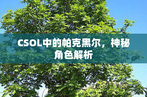 CSOL中的帕克黑尔,神秘角色解析 CSOL中的帕克黑尔,神秘角色解析