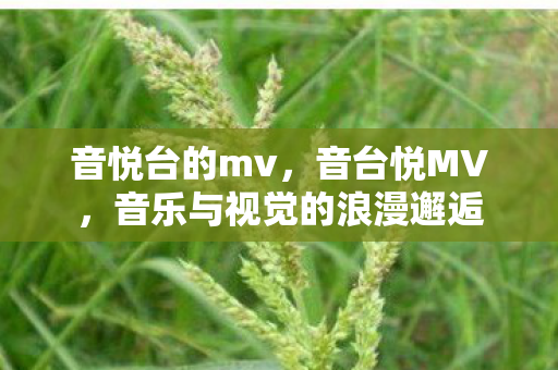 音悦台的mv,音台悦MV,音乐与视觉的浪漫邂逅 音悦台的mv,音台悦MV,音乐与视觉的浪漫邂逅