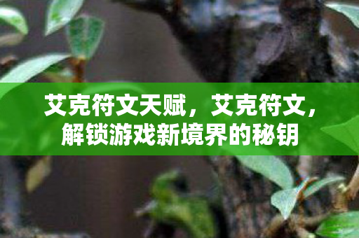 艾克符文天赋,艾克符文,解锁游戏新境界的秘钥 艾克符文天赋,艾克符文,解锁游戏新境界的秘钥