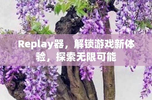 Replay器,解锁游戏新体验,探索无限可能 Replay器,解锁游戏新体验,探索无限可能