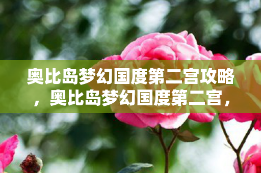 奥比岛梦幻国度第二宫攻略,奥比岛梦幻国度第二宫,探索未知,挑战自我 奥比岛梦幻国度第二宫攻略,奥比岛梦幻国度第二宫,探索未知,挑战自我