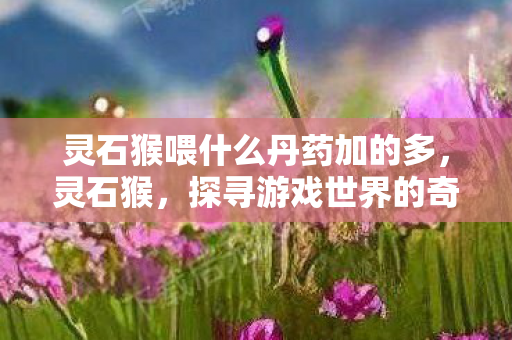 灵石猴喂什么丹药加的多,灵石猴,探寻游戏世界的奇妙之旅 灵石猴喂什么丹药加的多,灵石猴,探寻游戏世界的奇妙之旅