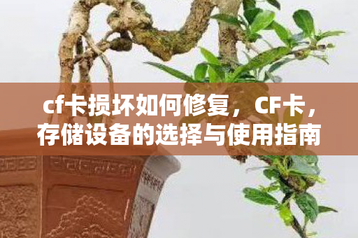 cf卡损坏如何修复，CF卡，存储设备的选择与使用指南