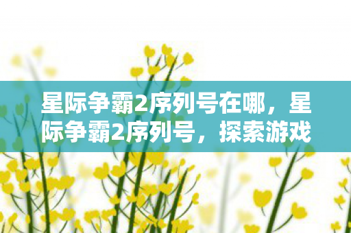 星际争霸2序列号在哪，星际争霸2序列号，探索游戏世界的独特通行证