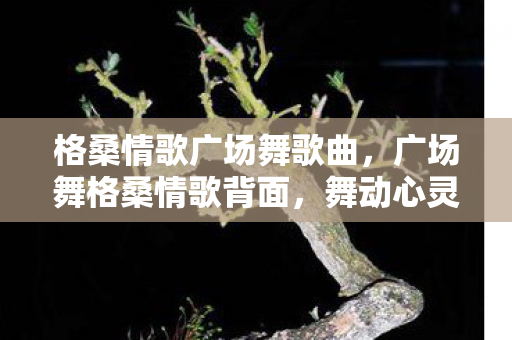 格桑情歌广场舞歌曲,广场舞格桑情歌背面,舞动心灵的旋律 格桑情歌广场舞歌曲,广场舞格桑情歌背面,舞动心灵的旋律