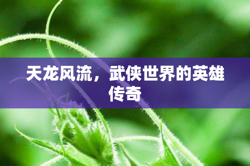 天龙风流,武侠世界的英雄传奇 天龙风流,武侠世界的英雄传奇