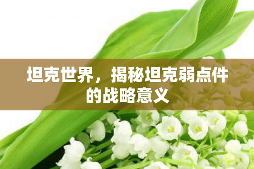 坦克世界,揭秘坦克弱点件的战略意义 坦克世界,揭秘坦克弱点件的战略意义