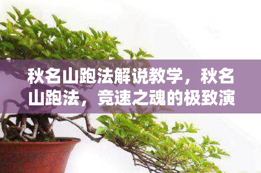 秋名山跑法解说教学,秋名山跑法,竞速之魂的极致演绎 秋名山跑法解说教学,秋名山跑法,竞速之魂的极致演绎